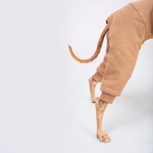 winter italian greyhound clothing