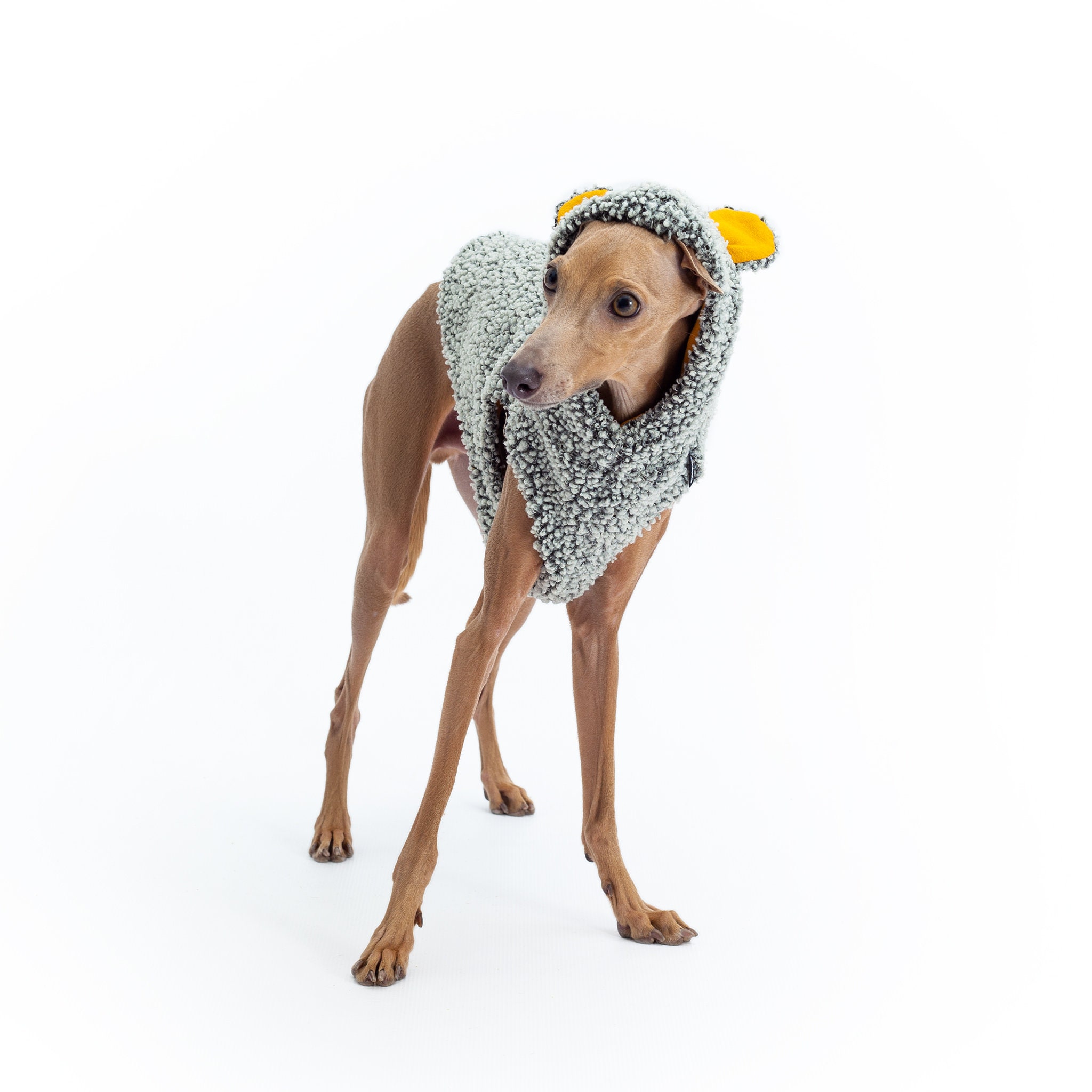 Italian Greyhound Teddy Bear Vest Dog Clothing With Bear Etsy