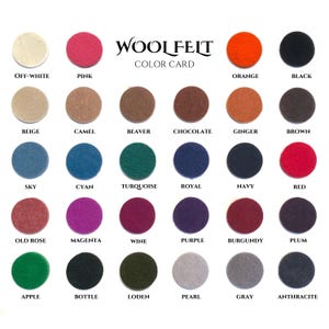 Op de afbeelding: Wolvilt kleurenkaart met 24 verschillende kleuren, waaronder off-white, roze, oranje, zwart, beige, camel, bever, chocolade, gember, bruin, lichtblauw, cyaan, turquoise, koninklijkblauw, marineblauw, rood, oudroze, magenta, wijnrood, paars, bordeaux, pruim, appelgroen, flesgroen, loden, parelwit, grijs en antraciet.
