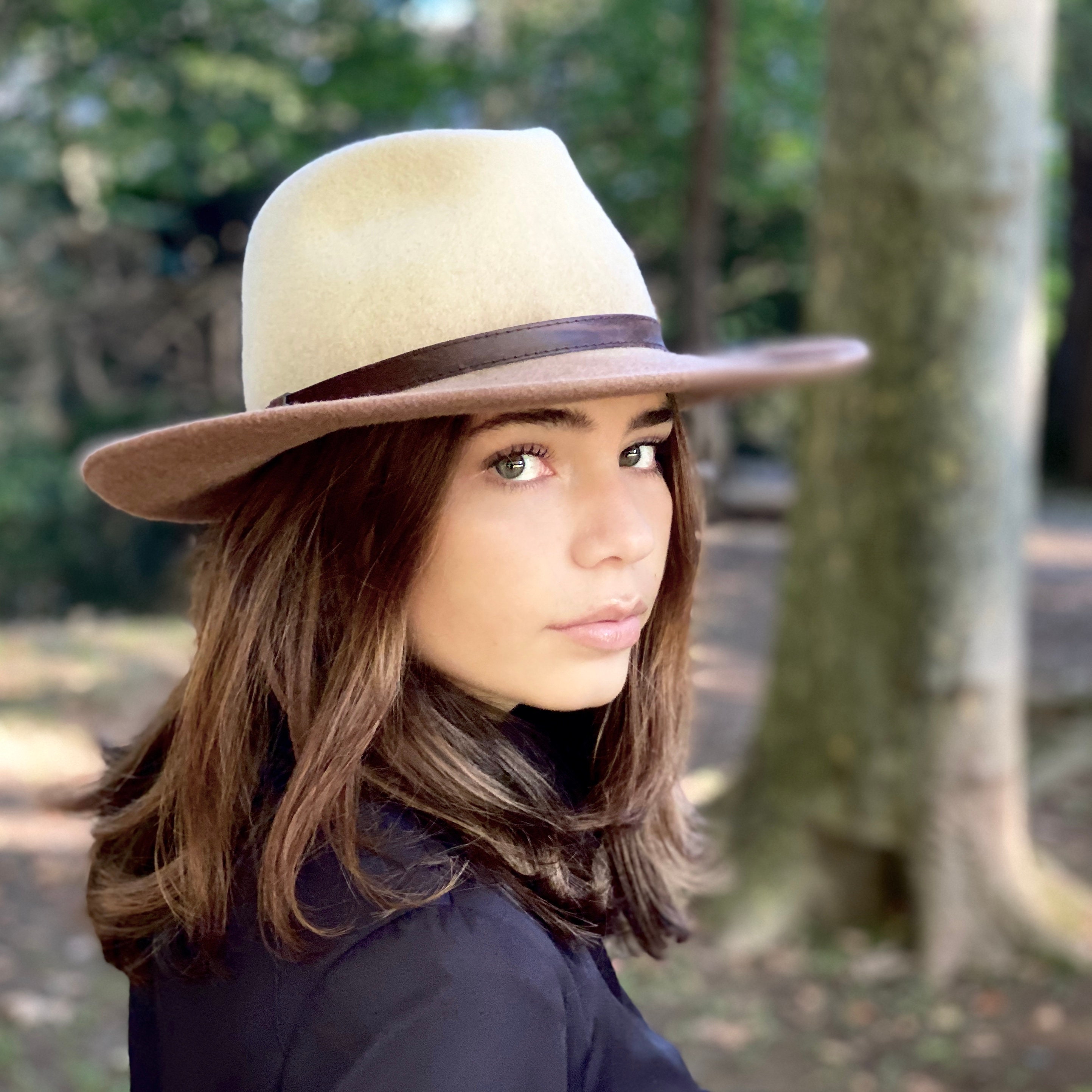 Beige Brown Fedora Hat Wide Brim Man 