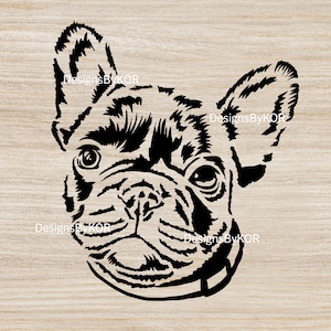 Süße französische Bulldogge Gesicht svg und png Dateien, Cricut Hund Schnitt Dateien, Hund Gesicht mit Halsband, Stier Hund Bild Design personalisierbar Projekte