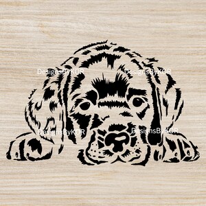 schattige Labrador / golden retriever puppy - SVG en PNG bestand voor knutselen / Cricut / gesneden bestand - baby hond gezicht en poten, gluren puppy neus