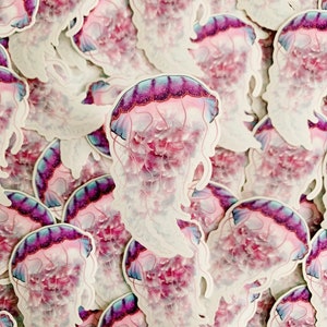 Jellyfish Sticker