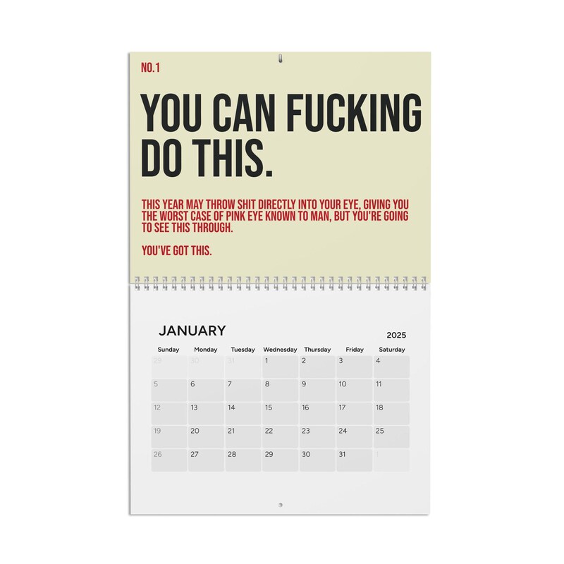 Fuck It 2025 Calendar Etsy