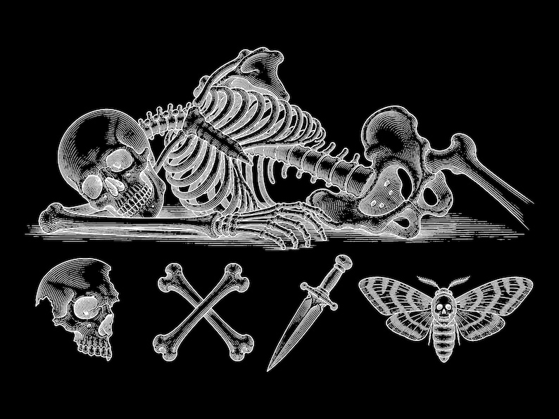 black and grey tattoo stencil, digital download, transparent PNG.