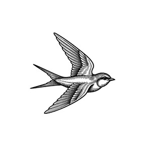 black and grey tattoo stencil, digital download, transparent PNG.