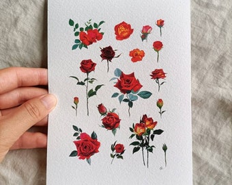Print/ 5*7 inch Rose study