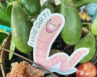 May include: A potted succulent plant with green leaves and a pink worm sticker that says "I love dirt!" The pot is made of woven wood and has moss and small stones around the plant.