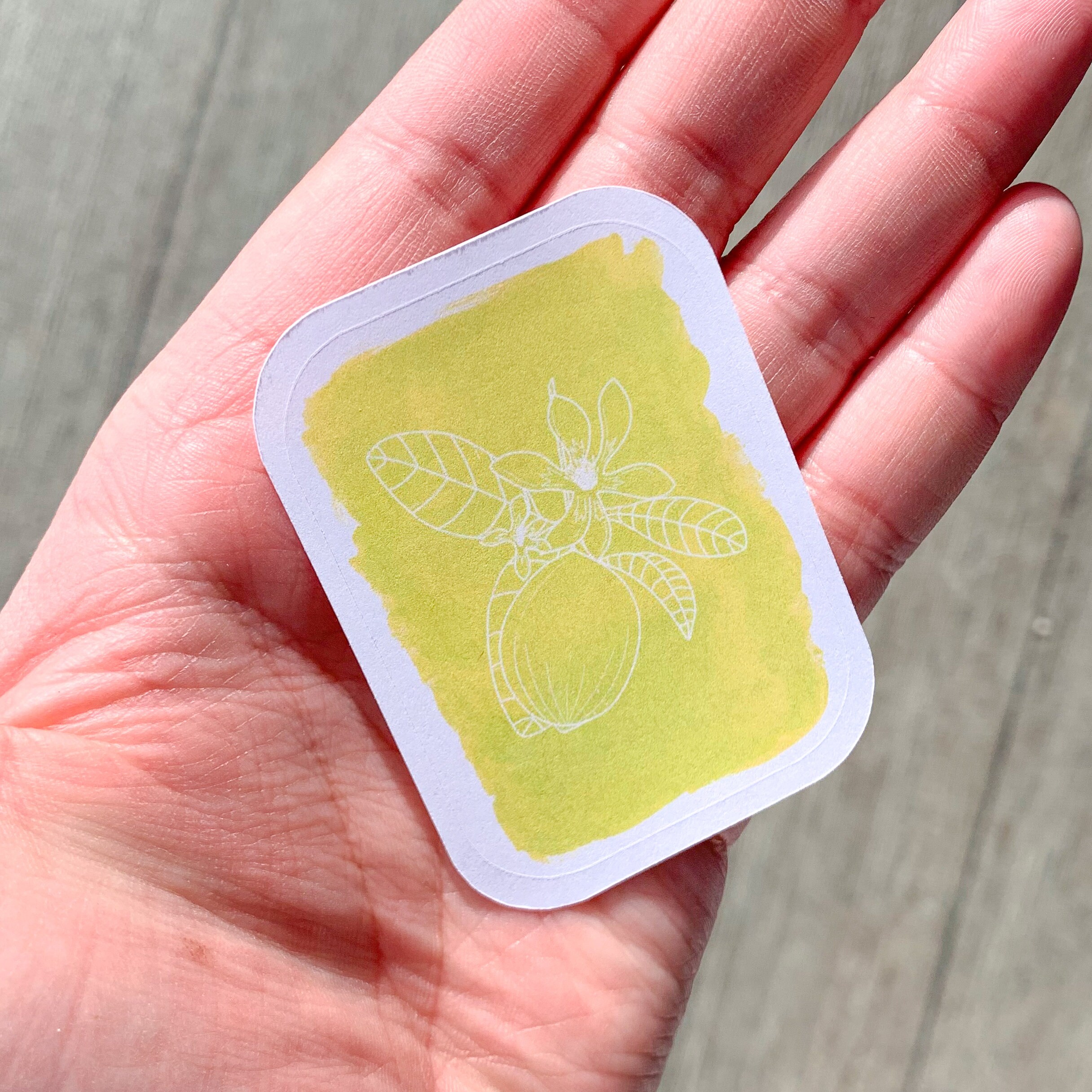 lime-art-print-stickers-sheet-aesthetic-penpal-and-letter-etsy