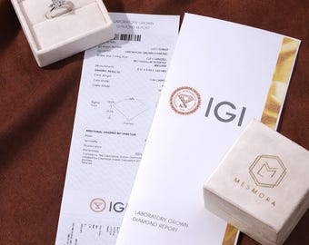 IGI Certification Cost