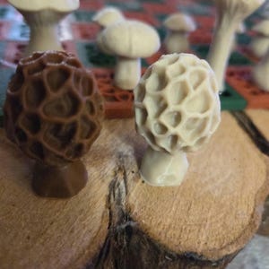 May include: Close-up of several mushroom sculptures, including a brown morel and a cream-colored morel, displayed on a wooden surface. Other mushroom sculptures are visible in the background. The sculptures have detailed textures and varying shapes.