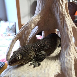 May include: A dark brown, textured gecko with large eyes resting inside a light beige, 3D-printed hollow tree stump structure. The gecko has a mottled skin pattern and is positioned on the flat, interior platform of the artificial tree hide.