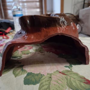 Snake Reptile Hide and view 3D print  python