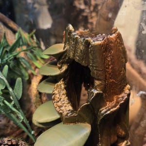May include: A bronze-colored, hollow tree stump sculpture featuring a textured bark surface and a large central opening. Attached to the side of the stump are four smooth, flat, olive-green shelf-like protrusions extending outward.