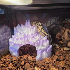 May include: A lavender and white reptile hide with a cave-like entrance. A ball python with a brown and tan pattern is resting on top of the hide. The hide is surrounded by wood chips inside a glass terrarium.