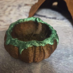 REPTILE feeding PUMPKIN CAULDRON food water dish reptile gecko beardie Leachianus  tank 3D   halloween decor