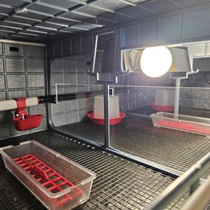 Hatching Time Cimuka Quail Brooder Room Dividers