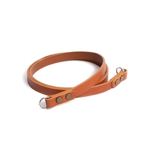 May include: A brown leather camera strap with two brass button accents and silver metal rings.