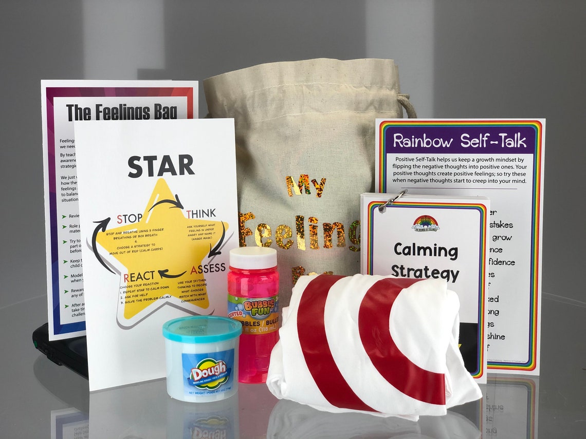 My Feelings Bag A tool for managing emotional regulation Etsy
