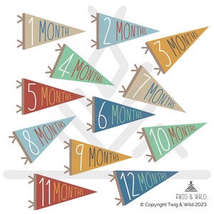 Tarjetas de hitos para bebés, banderines, descargas imprimibles instantáneas, accesorios para fotos de recién nacidos, retro, lindo, unisex, arte imprimible, banderines de hitos