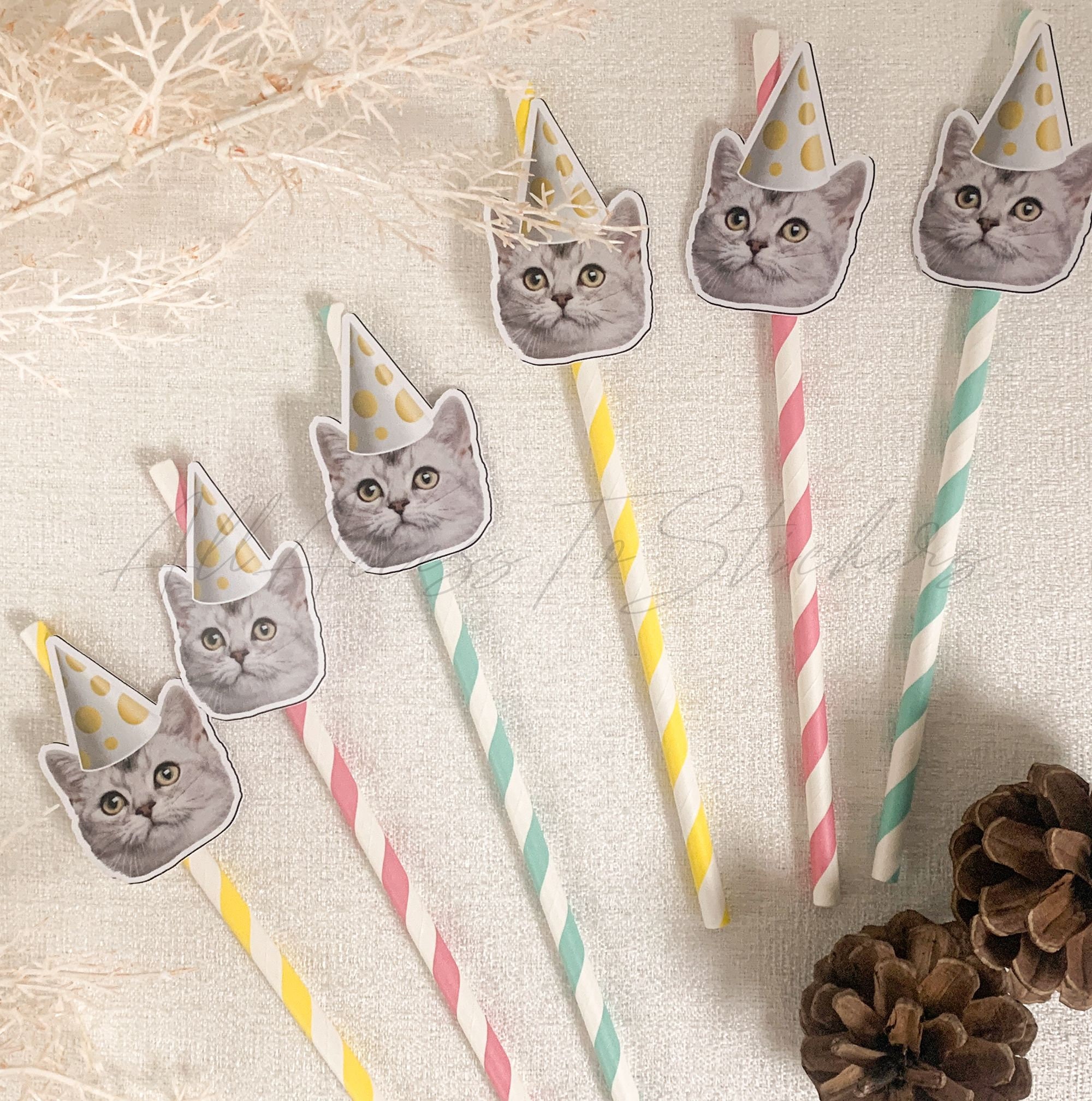 Personalized Pet Face Paper Straw, Custom Birthday Photo Straw, Funny Photo Decor, Animal Lover Gift, Pet Birthday Decor, Personalized Gift