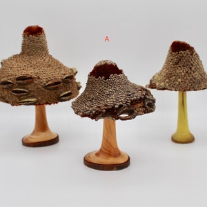 Wooden Mushrooms