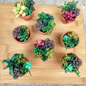 May include: Seven miniature succulent plants in terracotta pots are arranged on a wooden cutting board. The succulents are various shades of green, purple, and pink. The pots are small and round, and the overall effect is charming and decorative.