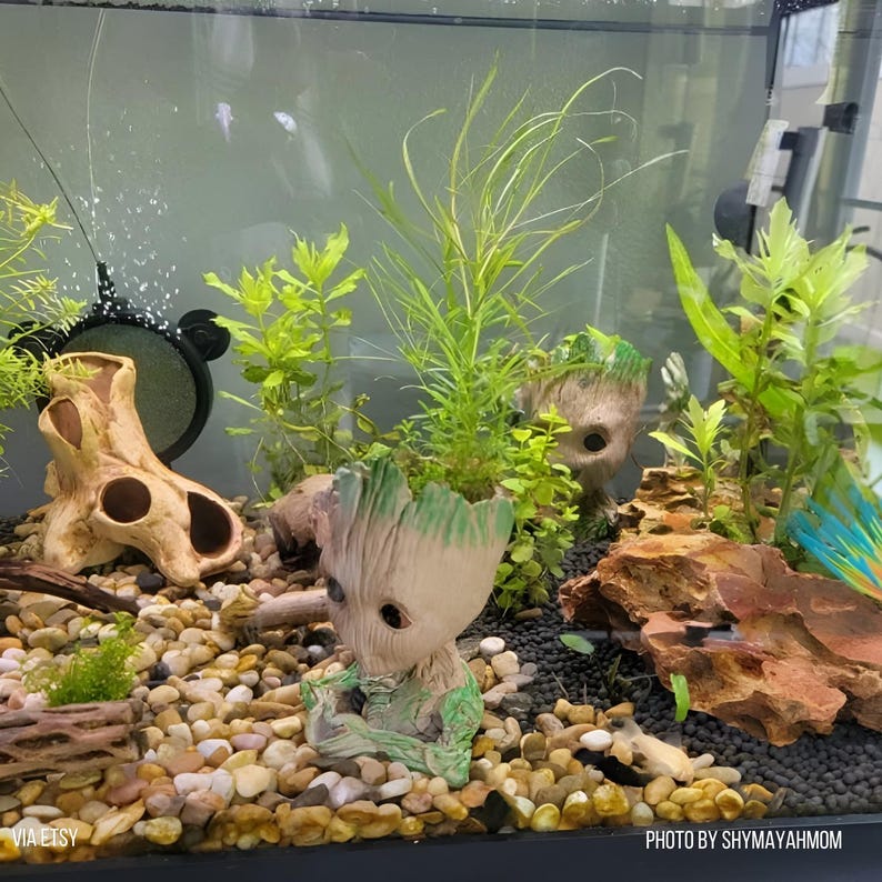 May include: A fish tank aquarium featuring two tree-like character planters with green accents, light-colored pebble substrate, a piece of driftwood, and various green aquatic plants. The scene includes a black circular filter and natural rocks.