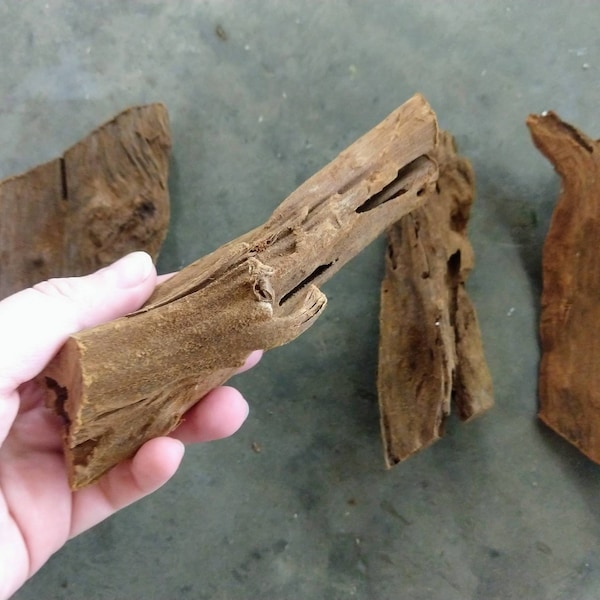 Small Malaysian Driftwood 5-7" Fish tank wood, Aquarium decor