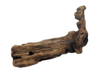 Mopane Congo Driftwood 12"+ Large Tannins Centerpiece Fish tank wood, Nano Aquarium decor