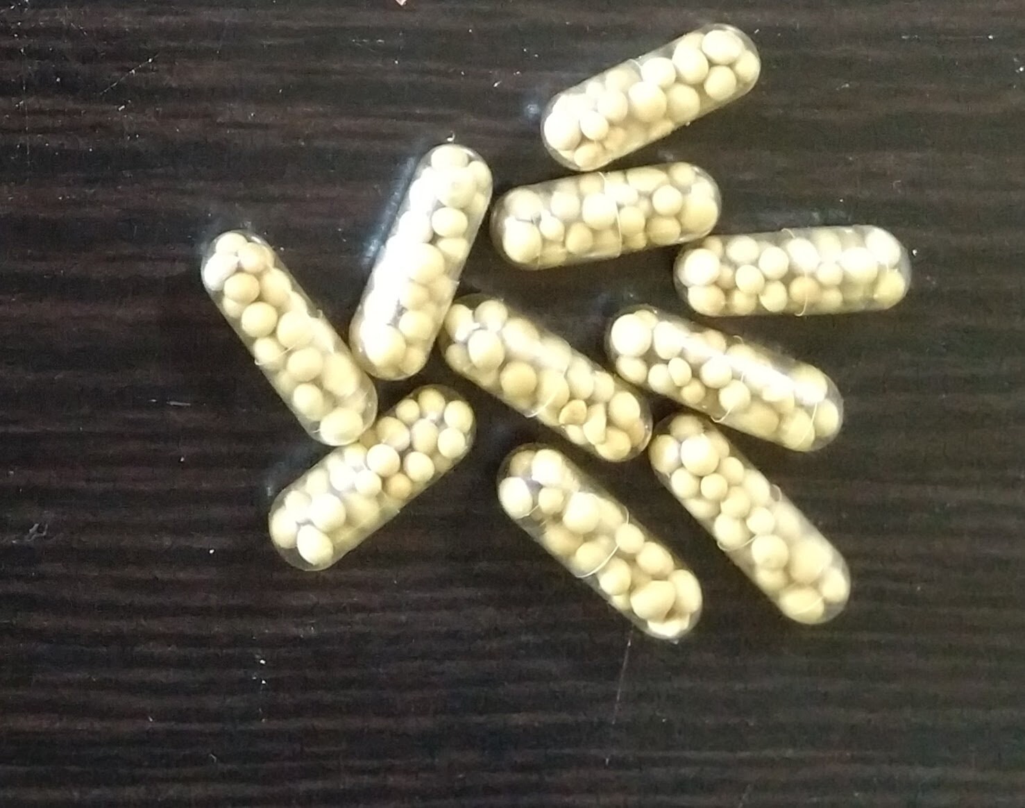 Aquarium Root Tabs for Easy Low Tech Beginner Shrimp Fish Etsy