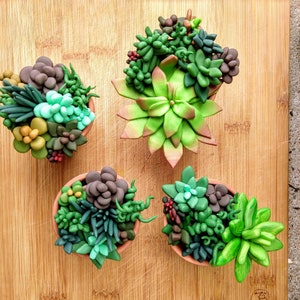 May include: Four small potted succulent plants on a wooden surface. The succulents are green and brown and are arranged in a square pattern.