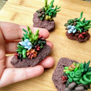 May include: A collection of miniature succulent plants made from polymer clay. The succulents are arranged on small, brown, textured rock-like bases.