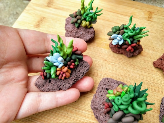 Tiny Succulent Rock Decor for Fun Aquarium Fish Tanks, Caves, Shrimp Plant  Clay Desk Decoration, Paperweight Natural Paper Weights - Etsy