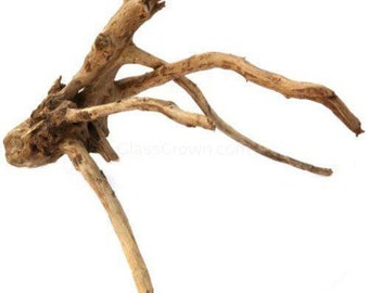 Small Spiderwood Driftwood 4-7" Fish tank wood, Aquarium decor, Java moss Bonsai, Java Fern, anubias, Buce Hardscape Wood