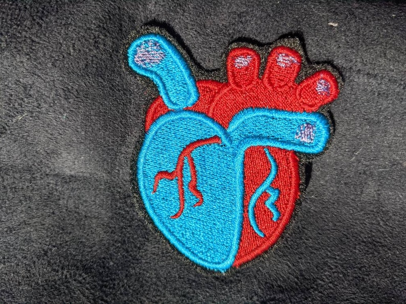 Pastel Anatomical Heart 70mm Iron on Patch - Etsy