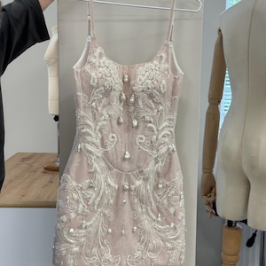Pu&ograve; includere: Un abito corto senza maniche in tonalit&agrave; rosa pallido con intricati ricami floreali bianchi, decorazioni di perline trasparenti e perle finte sparse sul corpetto e sulla gonna, con sottili spalline regolabili.