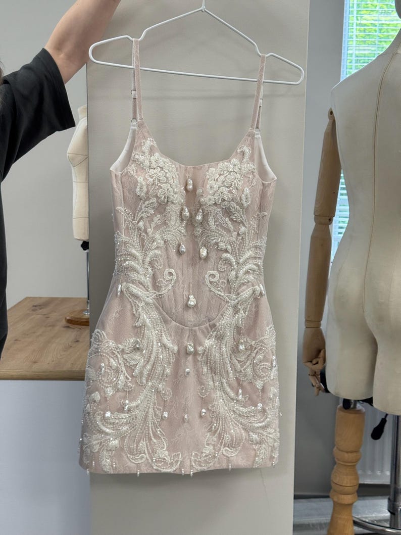 Pu&ograve; includere: Un abito corto senza maniche in tonalit&agrave; rosa pallido con intricati ricami floreali bianchi, decorazioni di perline trasparenti e perle finte sparse sul corpetto e sulla gonna, con sottili spalline regolabili.