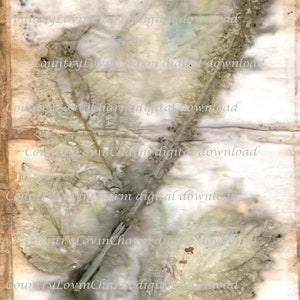 Eco Geverfd Papier | Plant Eco Printing Gekleurd papier | Digitale download