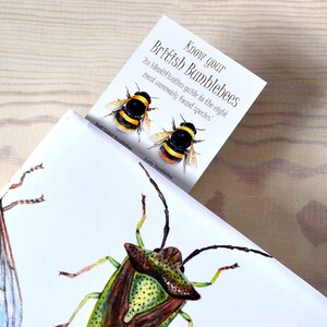 May include: A bookmark with an illustration of two bumblebees and the text "Know your British Bumblebees An identification guide to the eight most commonly found species Early Bumblebee"
