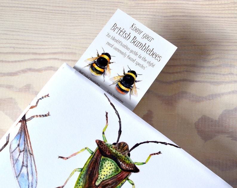 May include: A bookmark with an illustration of two bumblebees and the text "Know your British Bumblebees An identification guide to the eight most commonly found species Early Bumblebee"