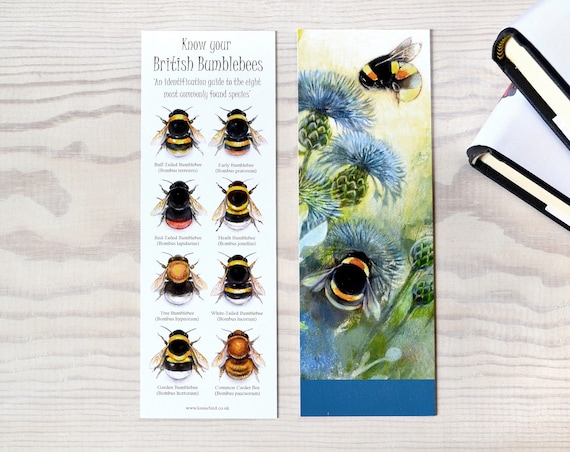 Bumblebee Identification Bookmark, double sided, artwork by Louise Bird, Field Guide, 360gsm FSC certified card.
