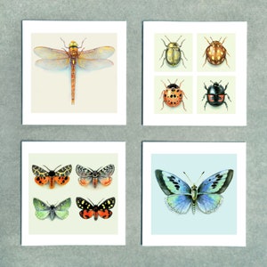Set aus 4 Künstlerkarten - 'Insekten' - Enthält Libelle, Schmetterling, Motten und Käfer. Hochwertige recycelte Karten und Umschläge. Innen leer