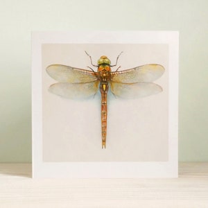 Norfolk Hawker Libelle, Karte und Umschlag, Naturhistorische Illustration von Louise Bird. Recycling-Karte, blanko für Deine eigene Nachricht.