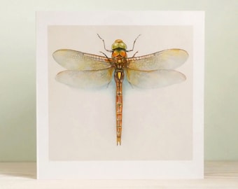 May include: A watercolor painting of a dragonfly with brown and yellow wings and a green head. The dragonfly is depicted against a white background.