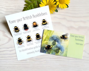 Bumblebee Identification, Pocket Guide 'Know Your British Bumblebees' Handy for Wallet or Purse. Made from Quality FSC Card