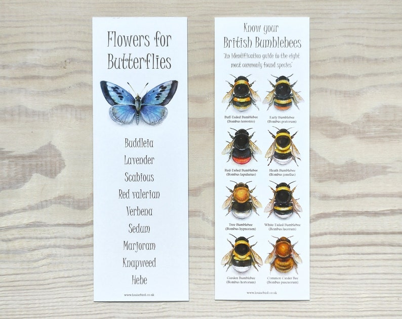 May include: A bookmark with a blue butterfly illustration on the left side and a list of flowers that attract butterflies. The right side of the bookmark features illustrations of eight different British bumblebees with their names and scientific names.