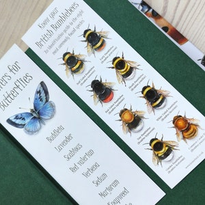 May include: Two bookmarks with illustrations of butterflies and bumblebees. The bookmark on the left features a blue butterfly and a list of flowers that attract butterflies. The bookmark on the right features eight different types of bumblebees with their names and scientific names.