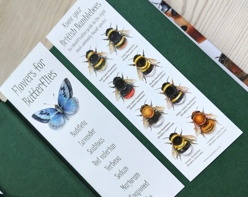 May include: Two bookmarks with illustrations of butterflies and bumblebees. The bookmark on the left features a blue butterfly and a list of flowers that attract butterflies. The bookmark on the right features eight different types of bumblebees with their names and scientific names.
