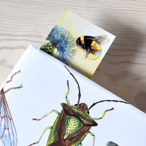 May include: A white book cover with illustrations of insects, including a green and brown shield bug, a blue dragonfly, and a bumblebee on a yellow flower.